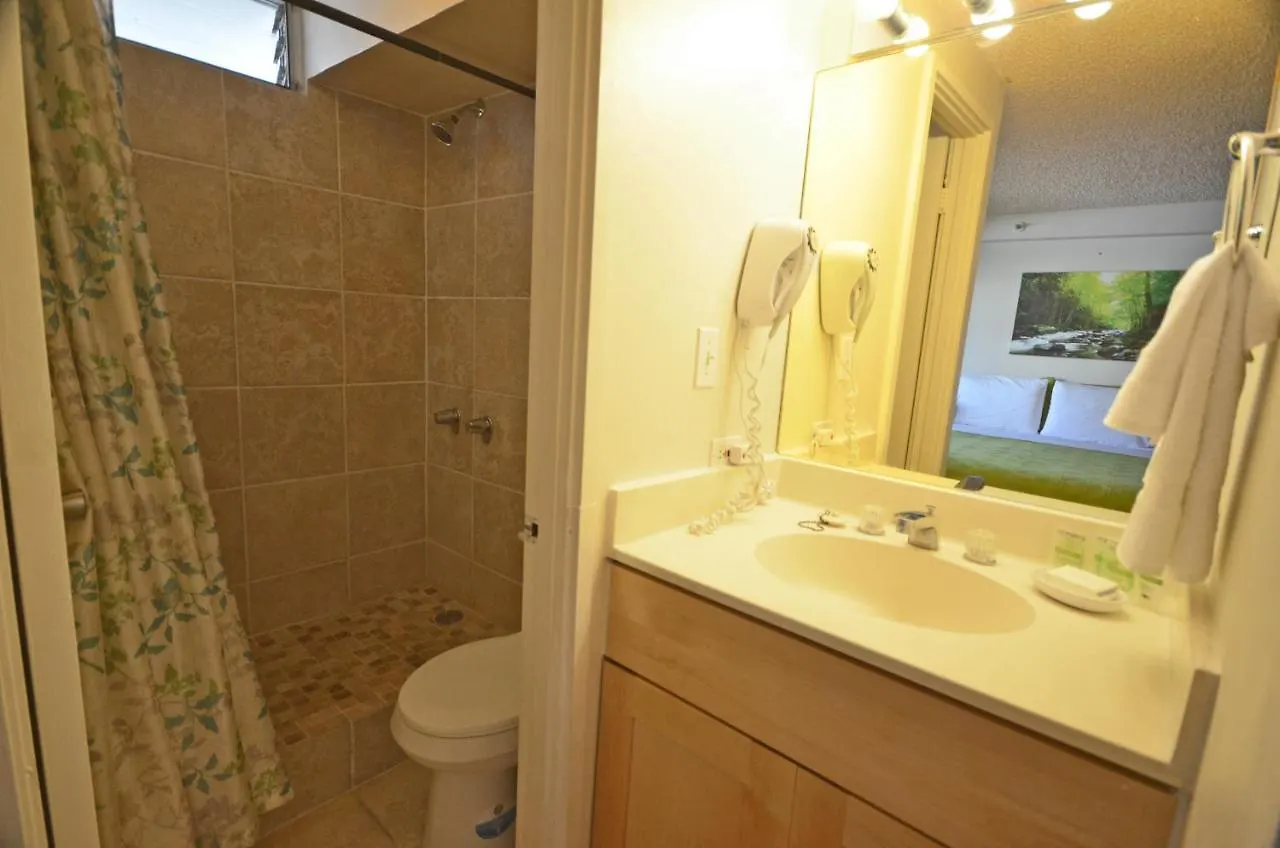 Kv702 Waikiki Private Waterfall Room, Mountain View! Honolulu Appartement